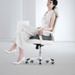 Premium Coccyx Office Chair