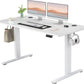 Modern Standing Desk for Home Office