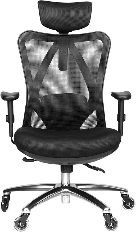 Duramont Ergonomic Office Chair Adjustable Desk Chair