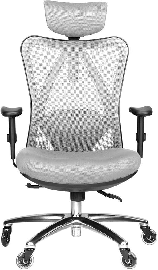 Duramont Ergonomic Office Chair Adjustable Desk Chair